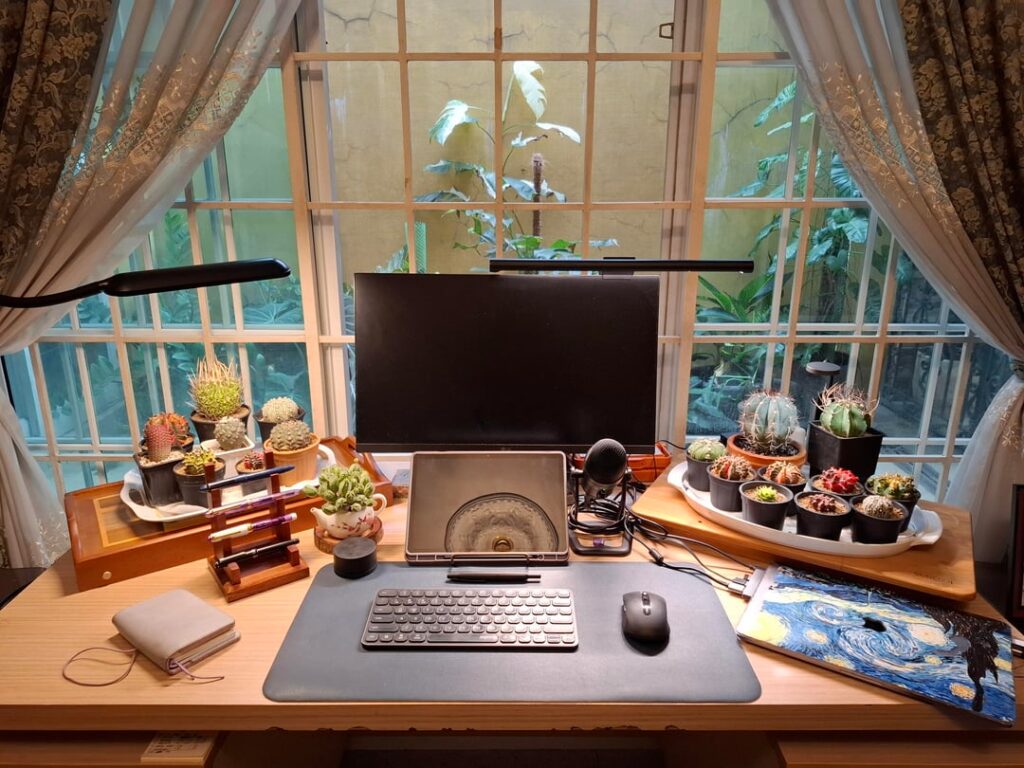 The cactus corner has doubled