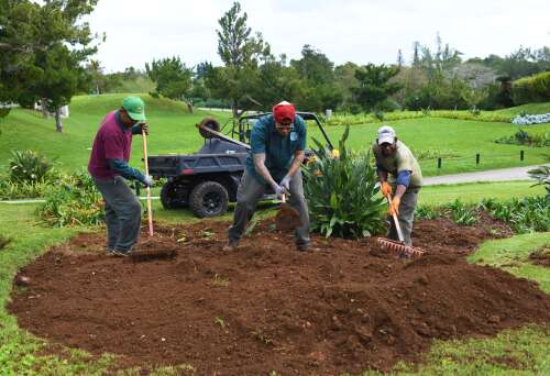 Appeal for private sector help to safeguard Botanical Gardens – The Royal Gazette Appeal for private sector help to safeguard Botanical Gardens - The Royal Gazette