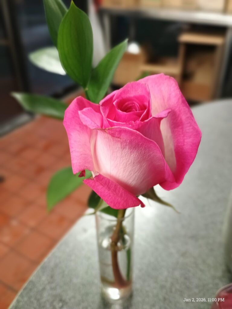 My friend got a beautiful flower for her birthday