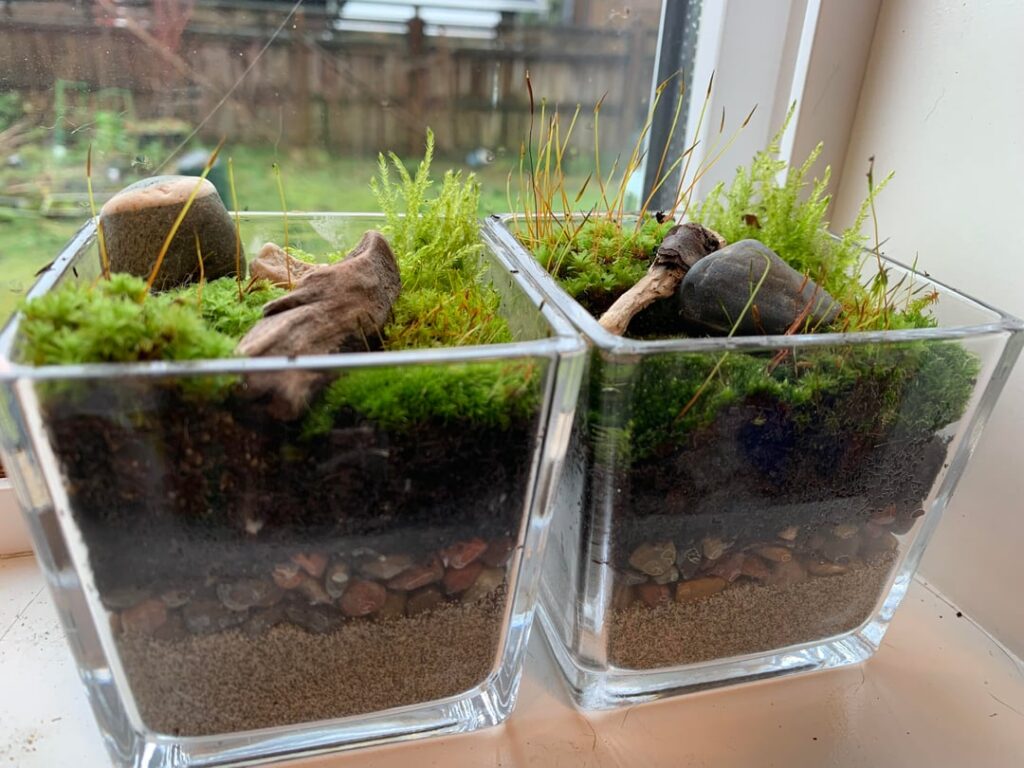 I felt creative today