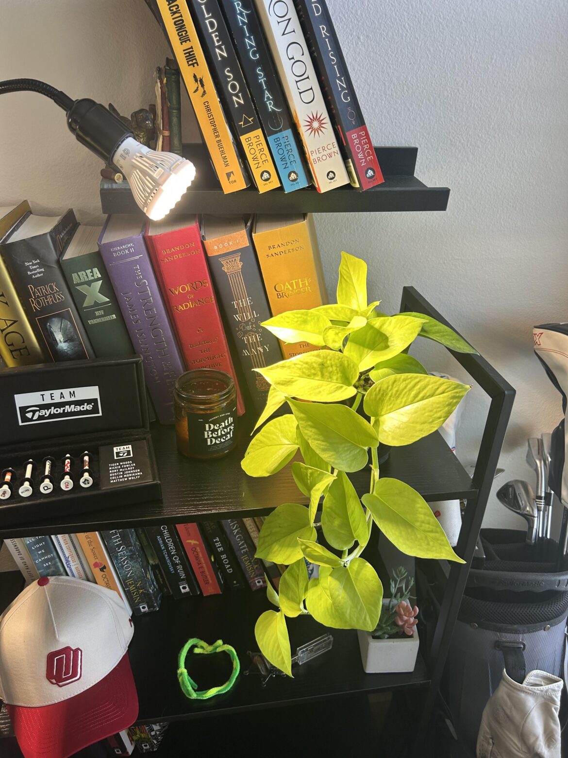 First pothos, is this enough light?