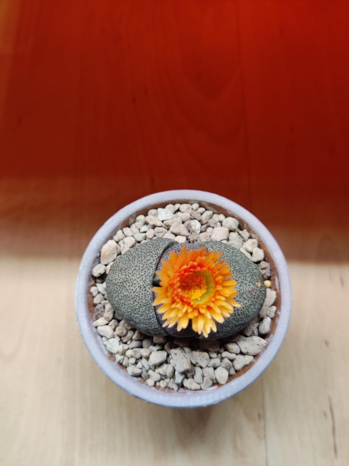 It finally happened 😍