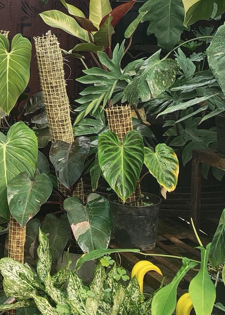 Main character energy ✨