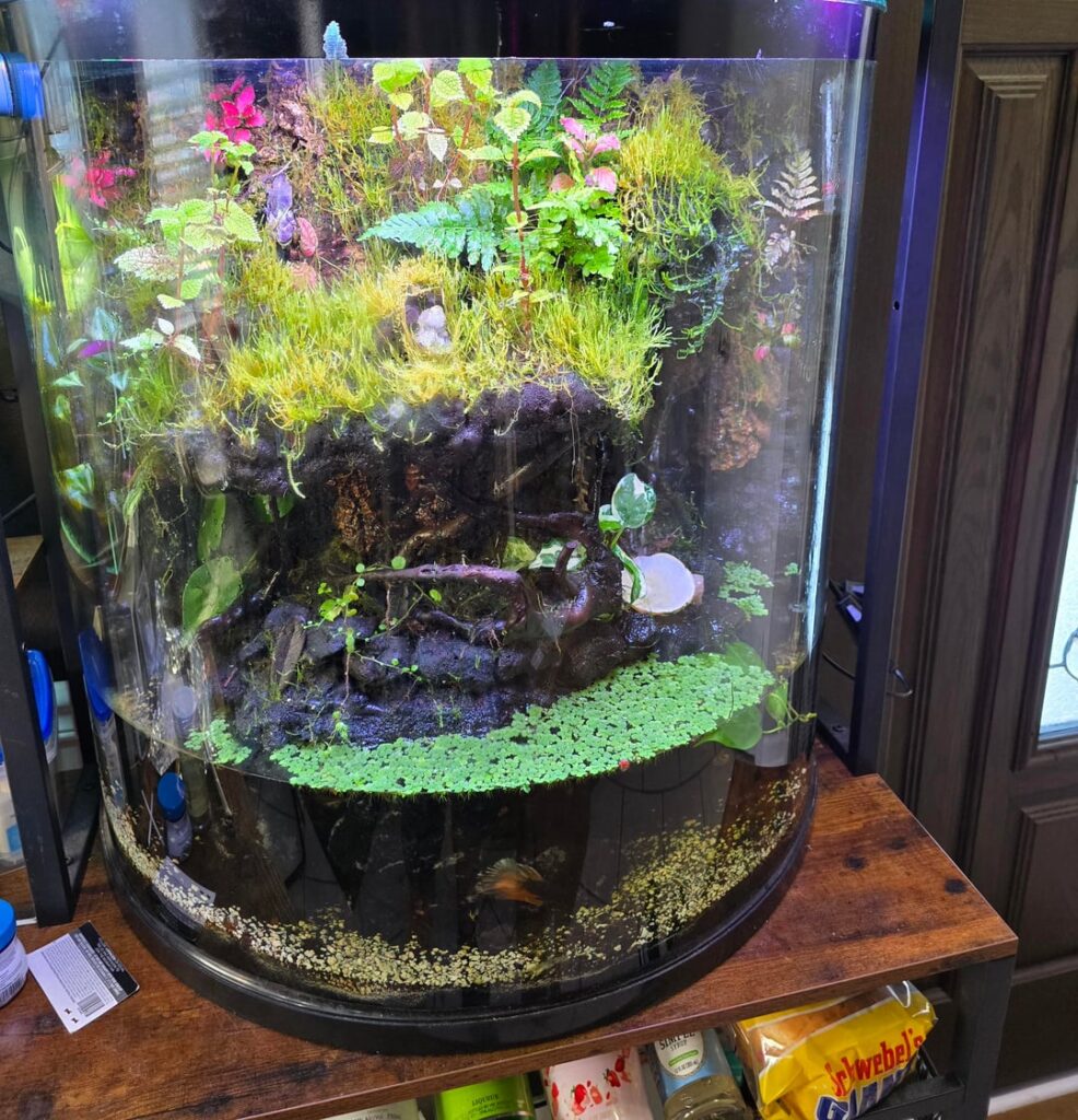 Proudest Accomplishment ≈ 6 months update