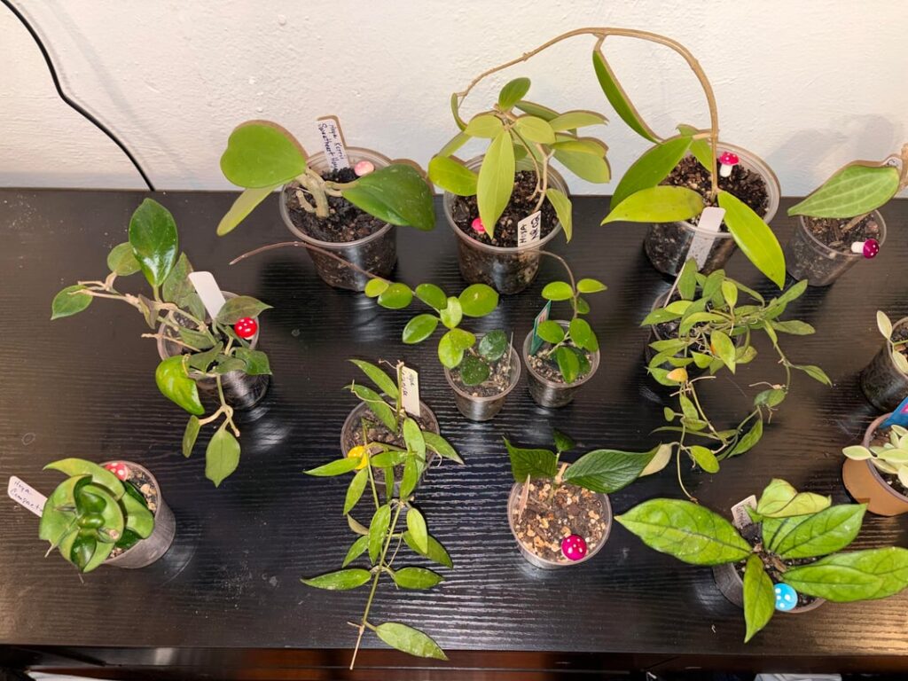 “Which ones should I get?” — Follow up!!!