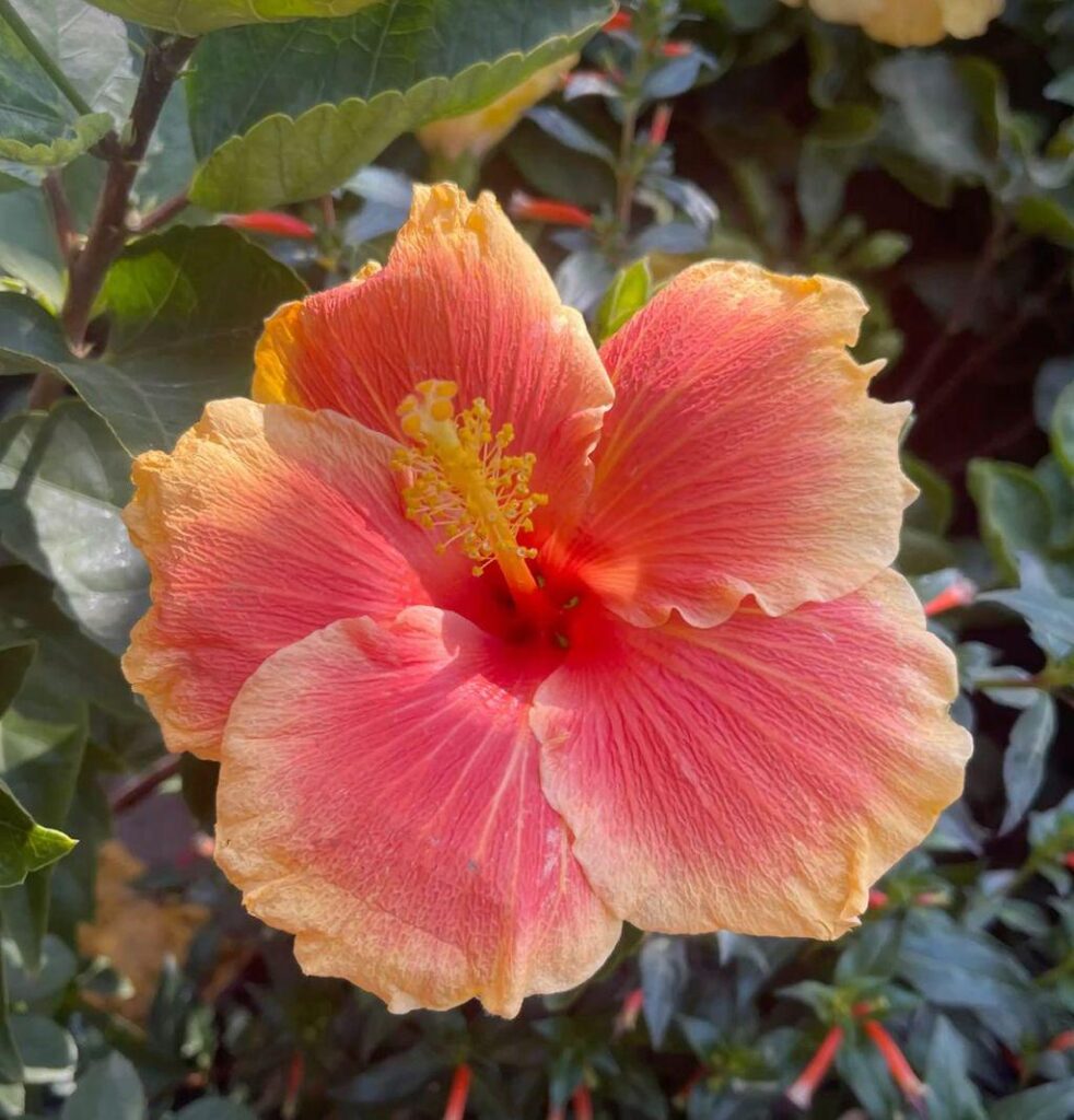 Nature’s masterpiece.