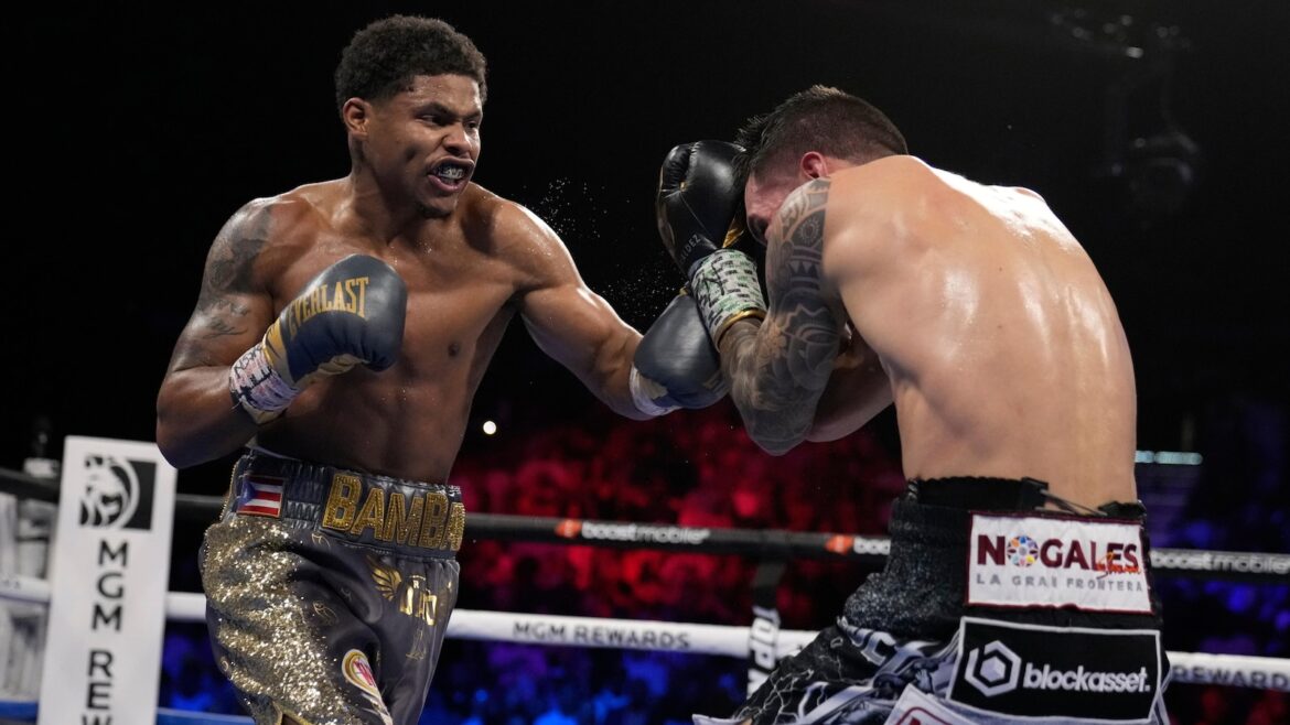 Madison Square Garden warns anyone fighting can be ‘banned for life’ after brawls Madison Square Garden warns anyone fighting can be 'banned for life' after brawls