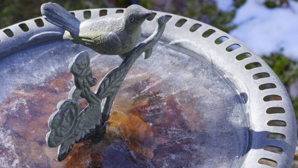 Winter-proof your bird bath: this budget-friendly trick will stop it from freezing Winter-proof your bird bath: this budget-friendly trick will stop it from freezing