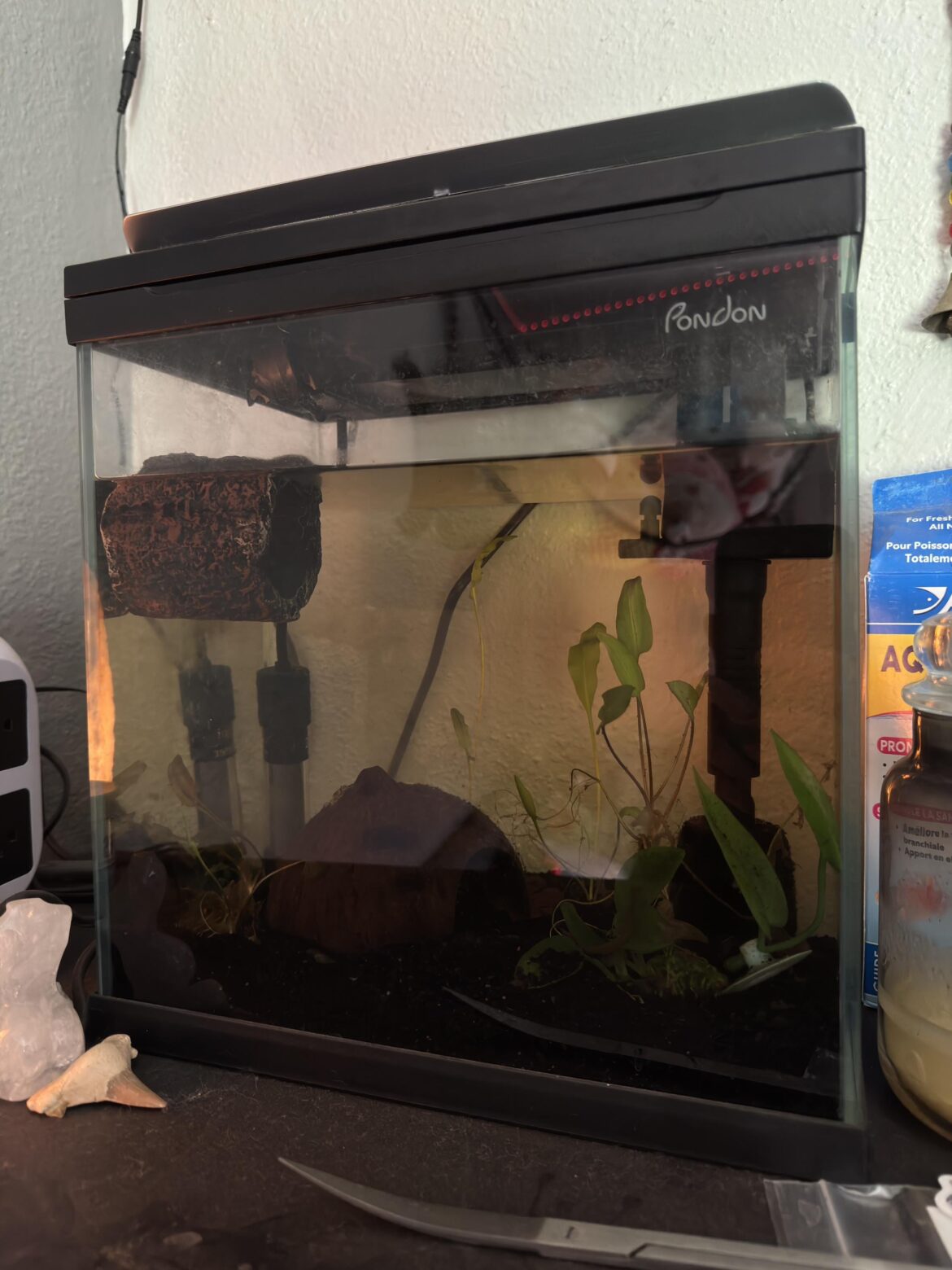 Would it be possible to turn this tank into a terrarium or vivarium? Would it be possible to turn this tank into a terrarium or vivarium?