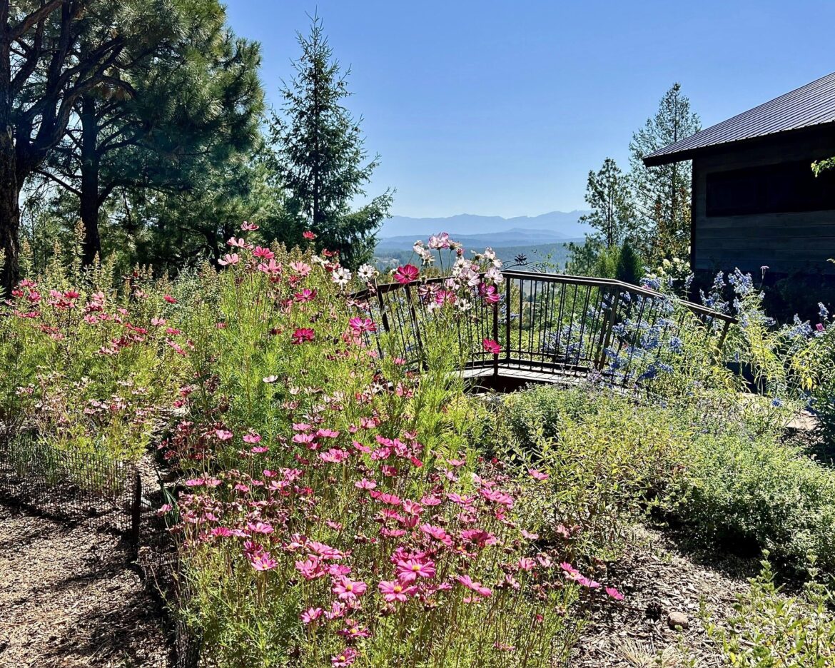 Paradise = cosmos, a steel bridge, conifers, and mountains…