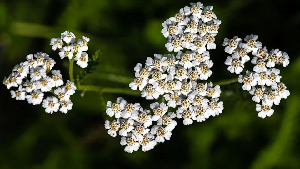 Image Credit: Deposit Photos