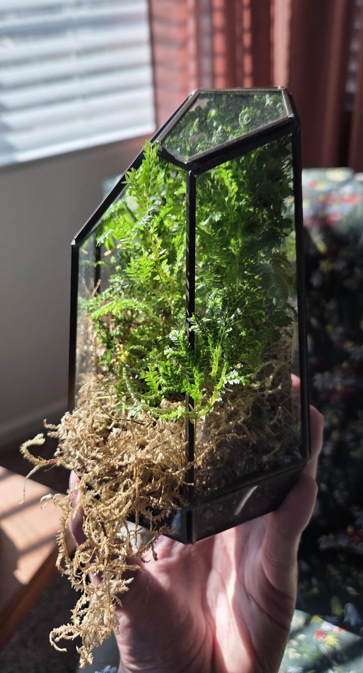 Best way care for this?