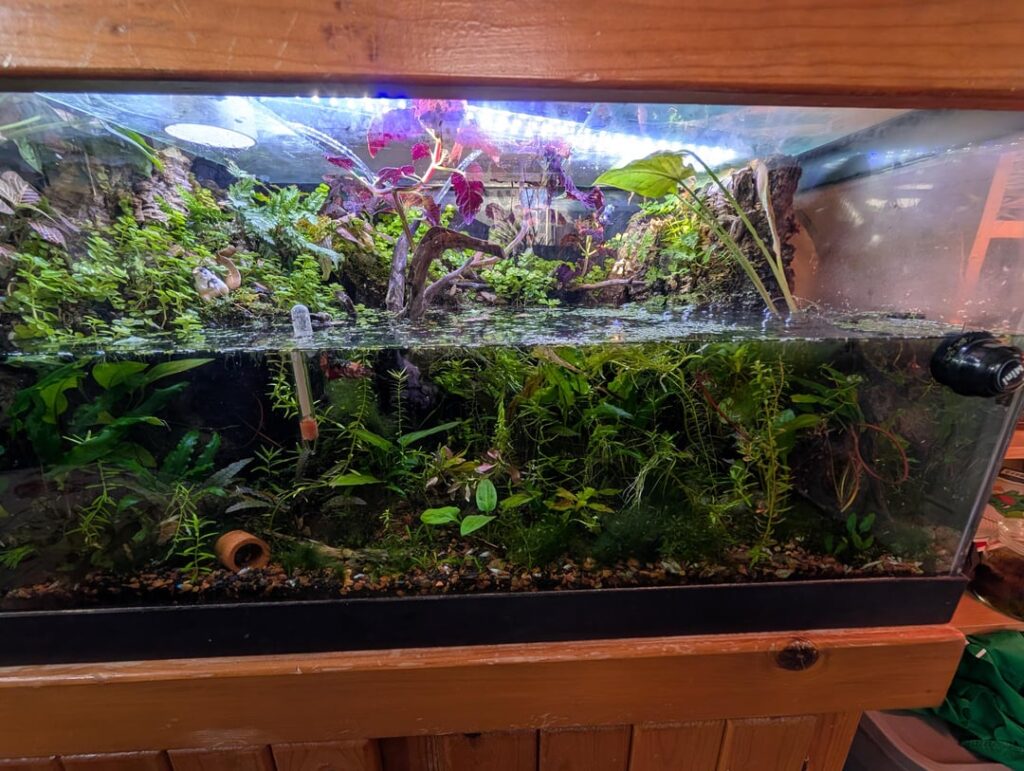 My set ups been going for about 3 years now. Now that's it's more established I want to tear it all down and start a new one