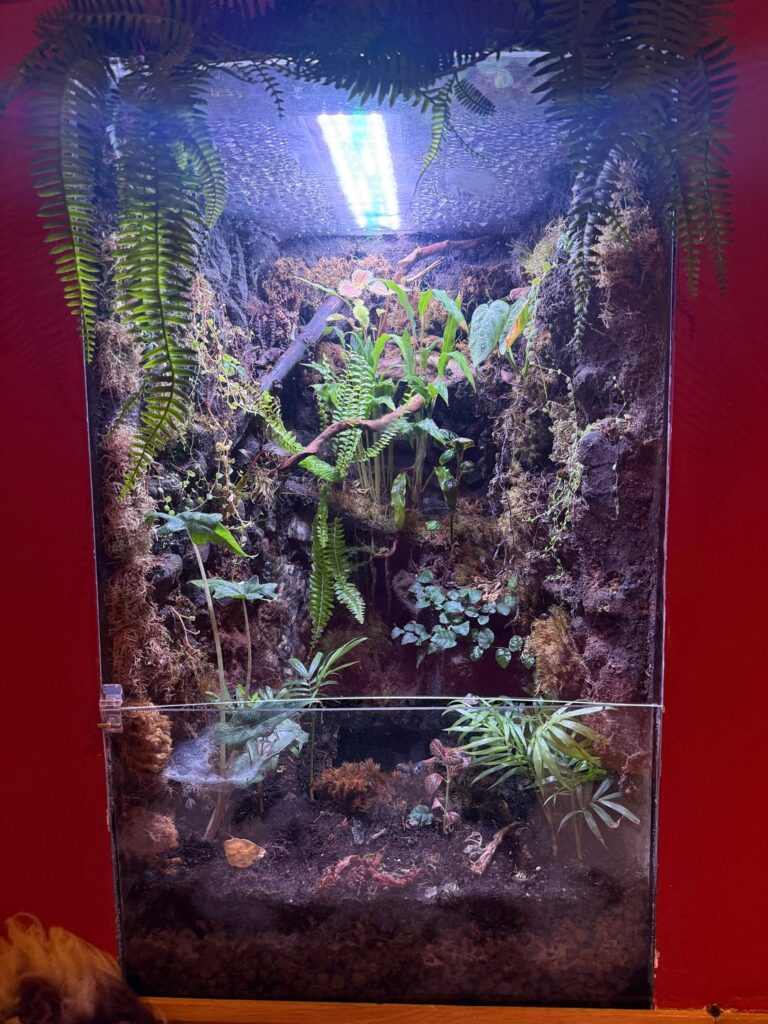 What am I doing wrong?