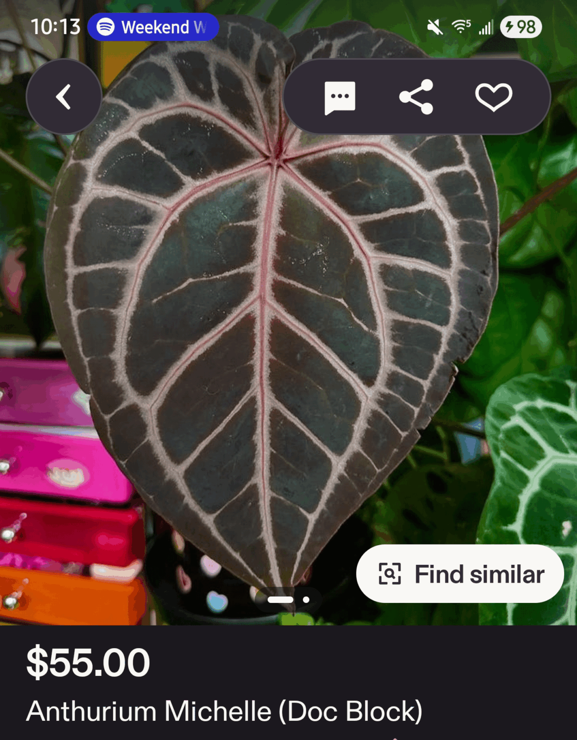 I want this…help? I want this...help?