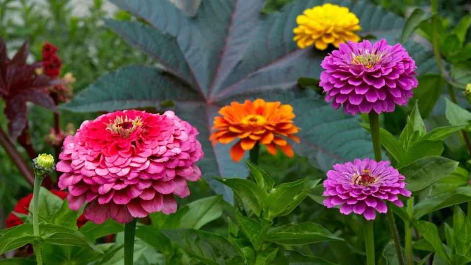 Image Credit: Deposit Photos