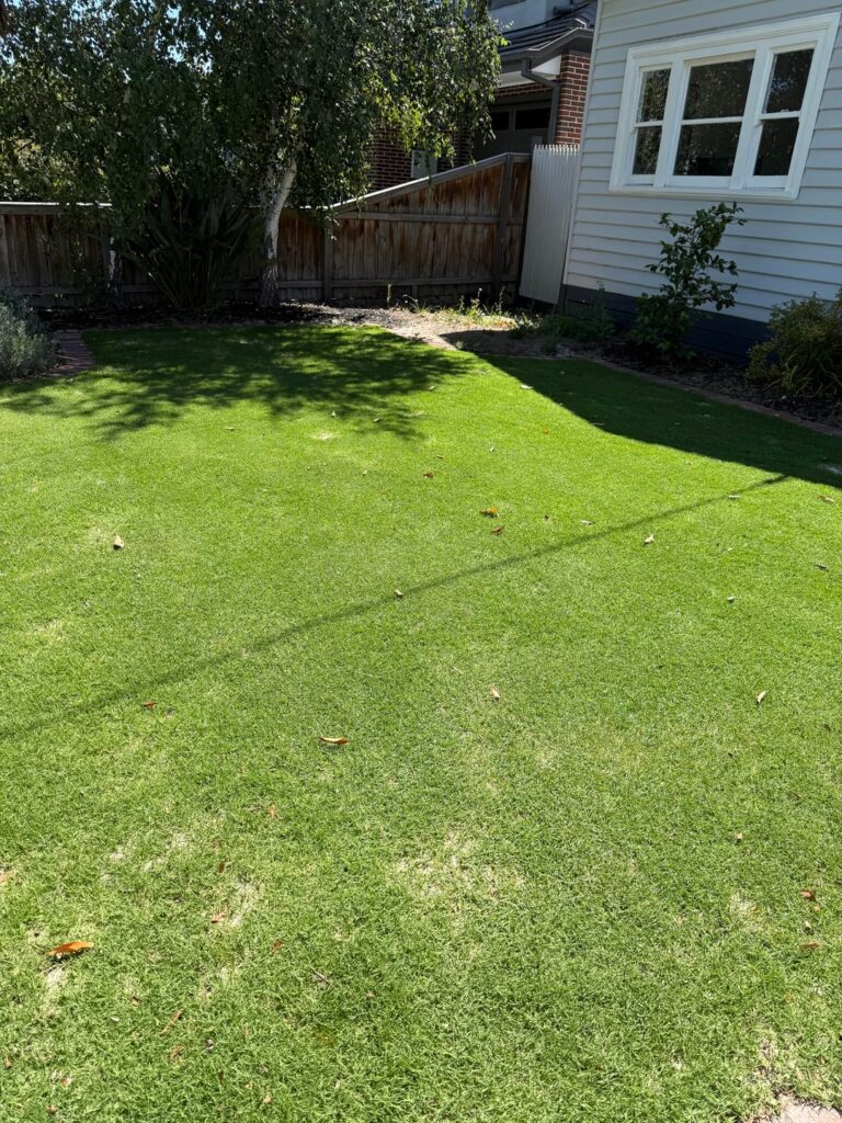 First Mow Post Renovation