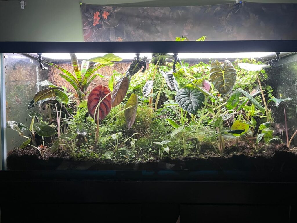 Need opinions on redoing my tank or not. Need opinions on redoing my tank or not.