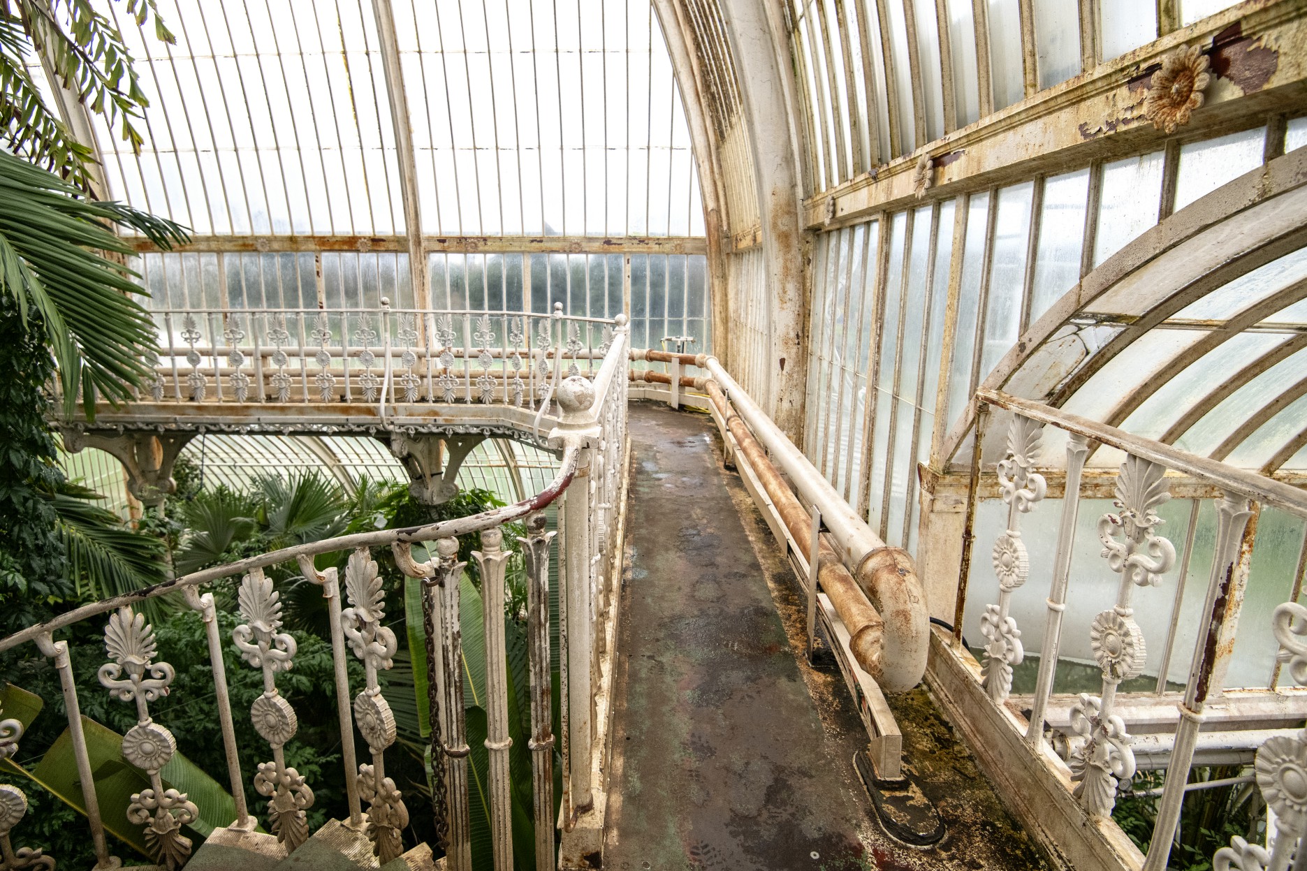 Palm House at Kew Gardens in disrepair.