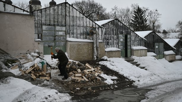 Volunteer Volodymyr Vynogradov chops firewood to be used to heat the greenhouses at Ukraine's National Botanical Garden