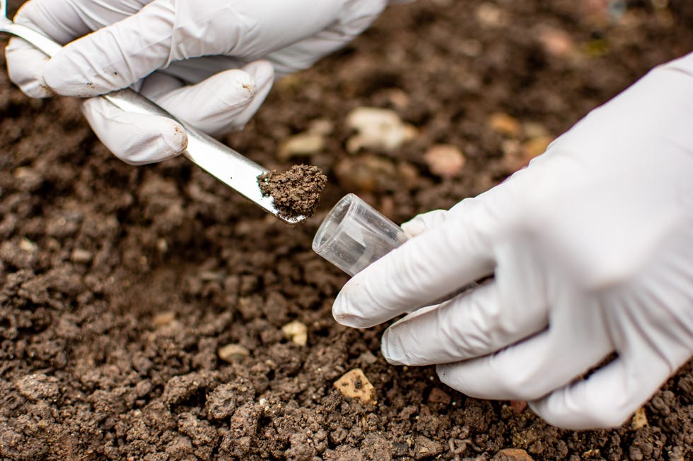 Researcher collecting soil sample in a test tube