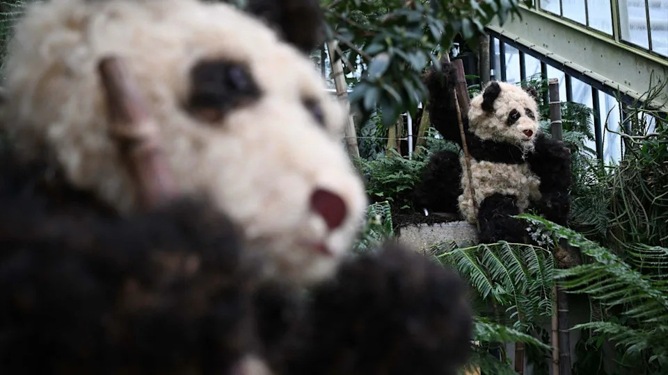A close shot of two panda plant sculptures which are surrounded by greenery and sit on a balcony