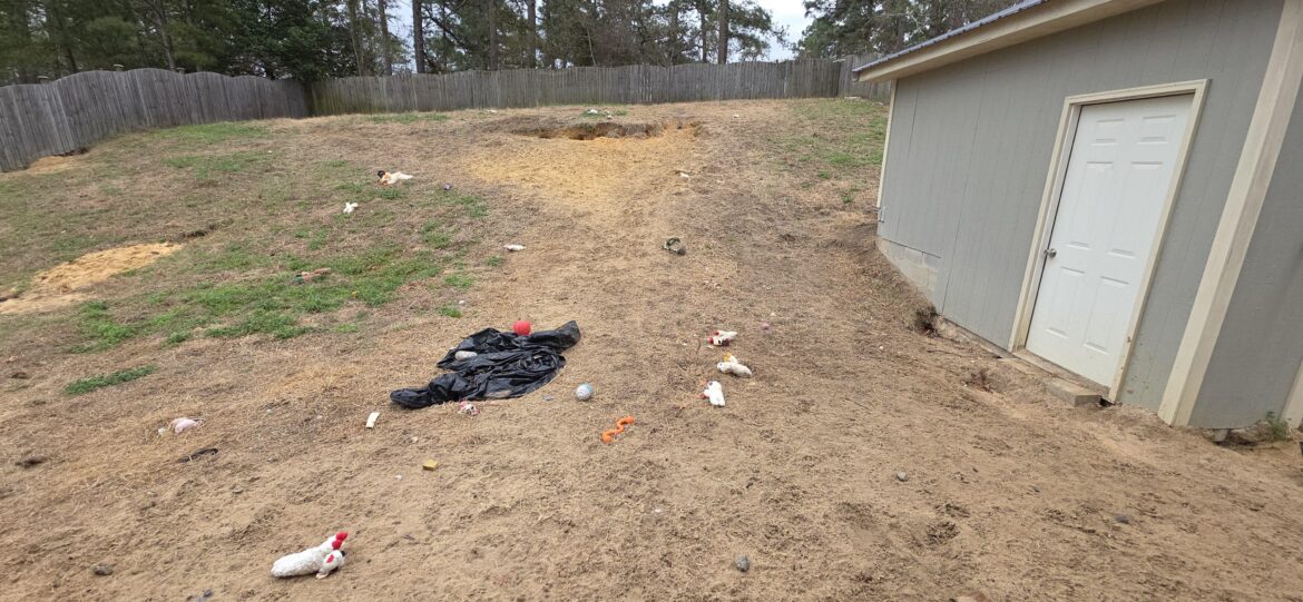 Doggy Takeover - South Carolina