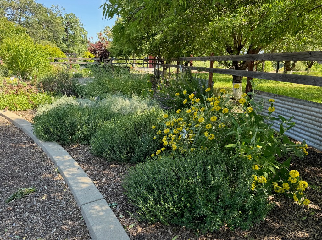 Getting started when you don’t know what — or how — to plant Getting started when you don’t know what — or how — to plant