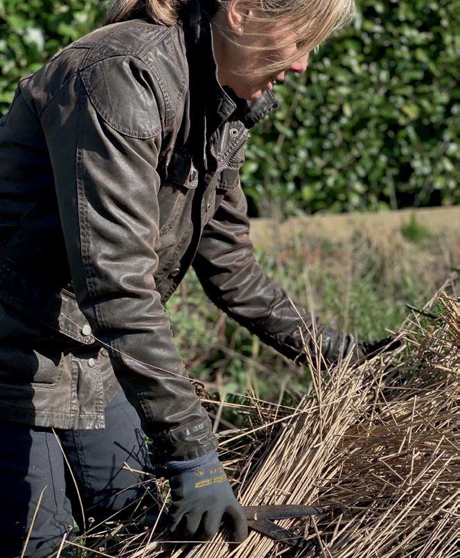 What to plant in February