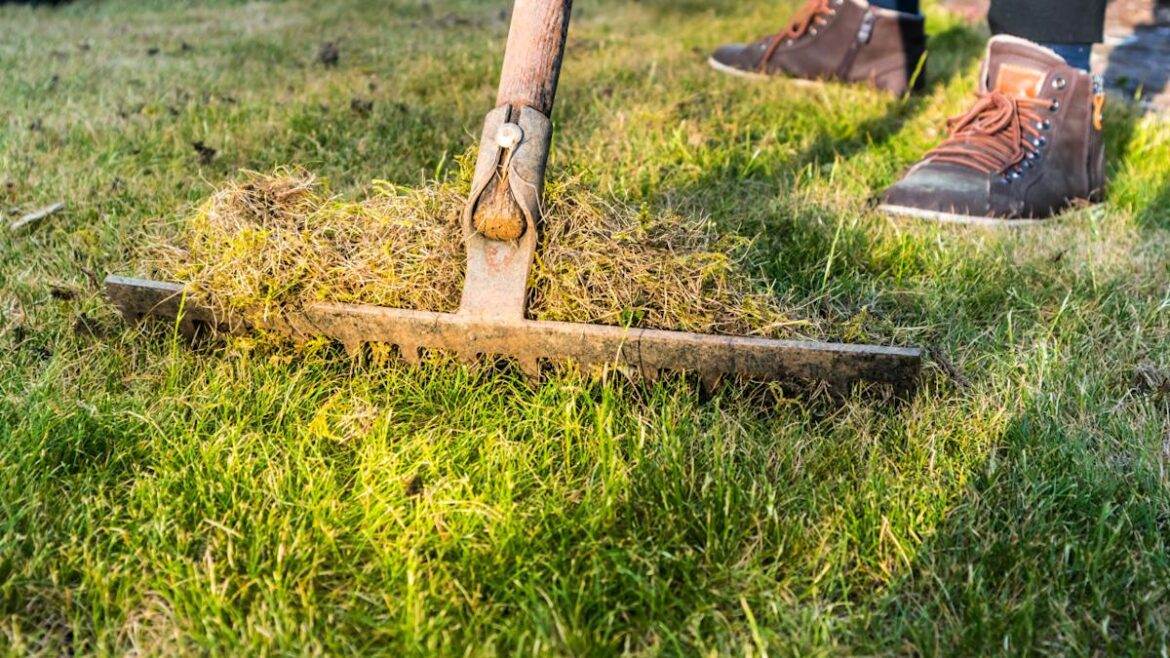 The Spring Routine That Sets Up Your Lawn for a Strong Growing Season