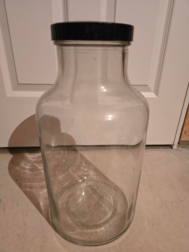 To fill with water, or leave dry?(Door for scale)
