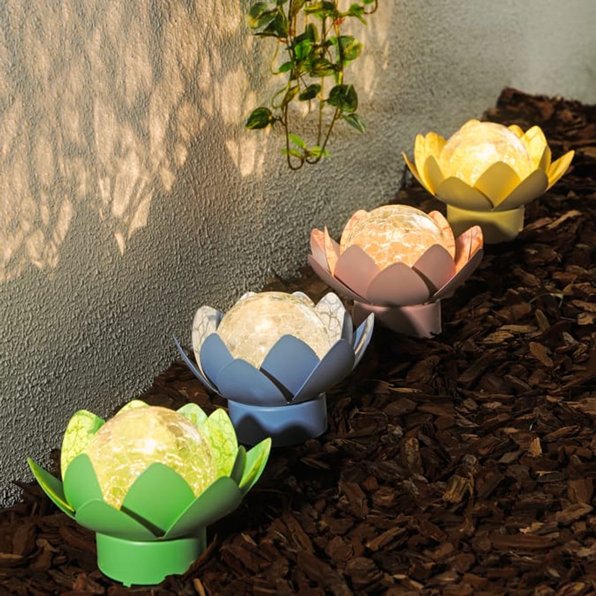 The lights come in four colour options at Home Bargains