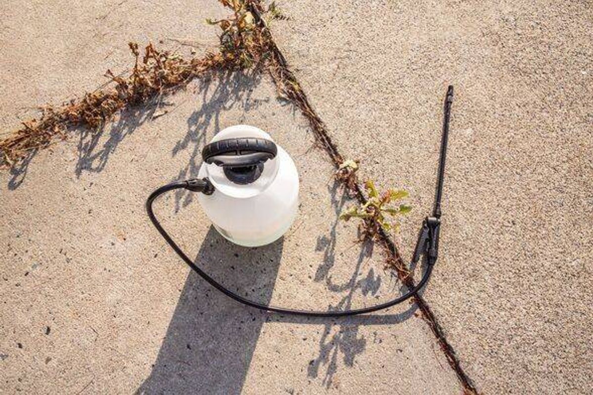 A Pump Sprayer with nozzle lying on a patio paved surface