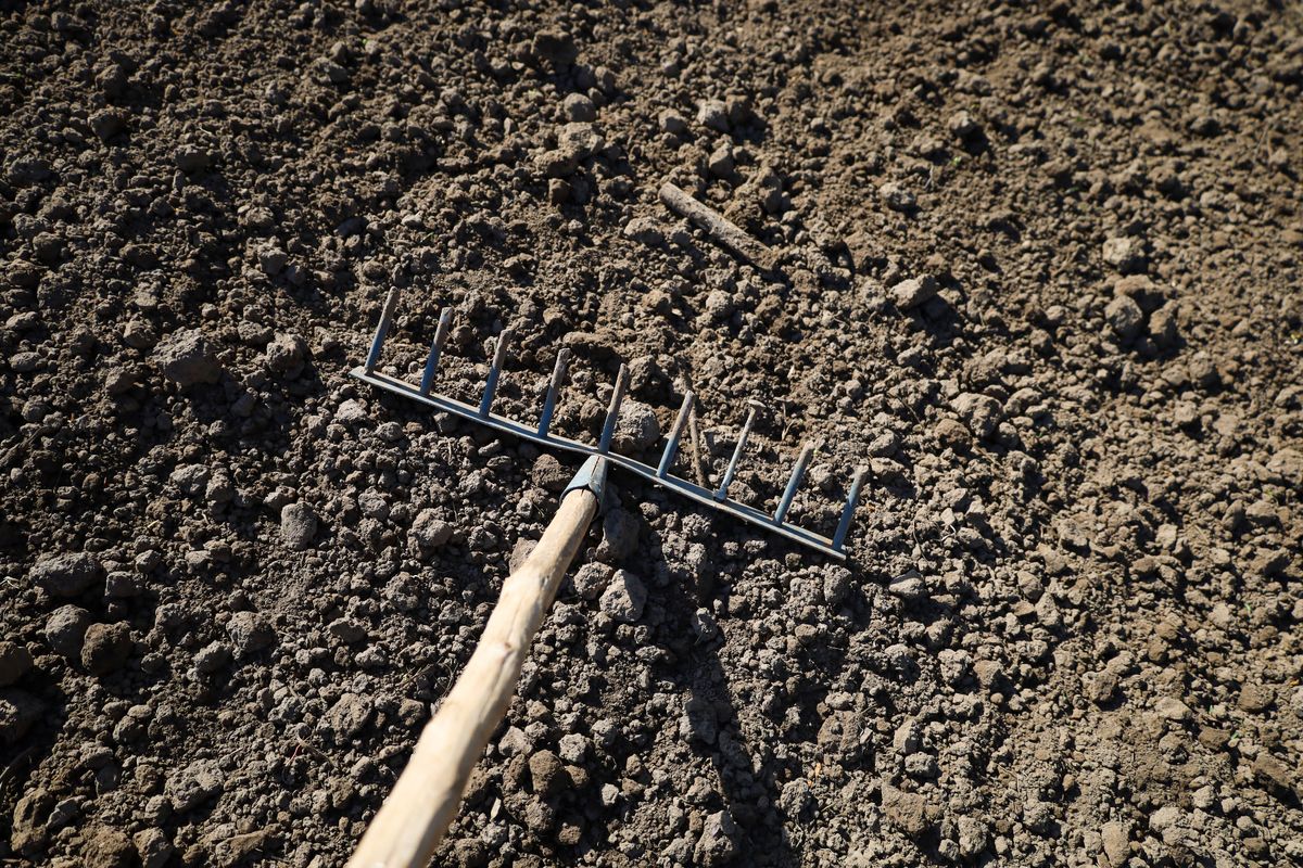 Even brown soil surface with scattered clods, partially shaded, featuring a metal rake tool with a wooden handle lying on top.