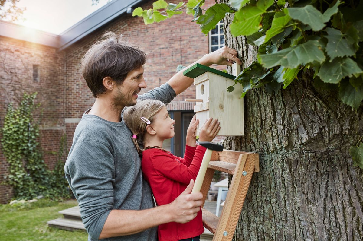 Father and daughter hanging up nest box in garden
