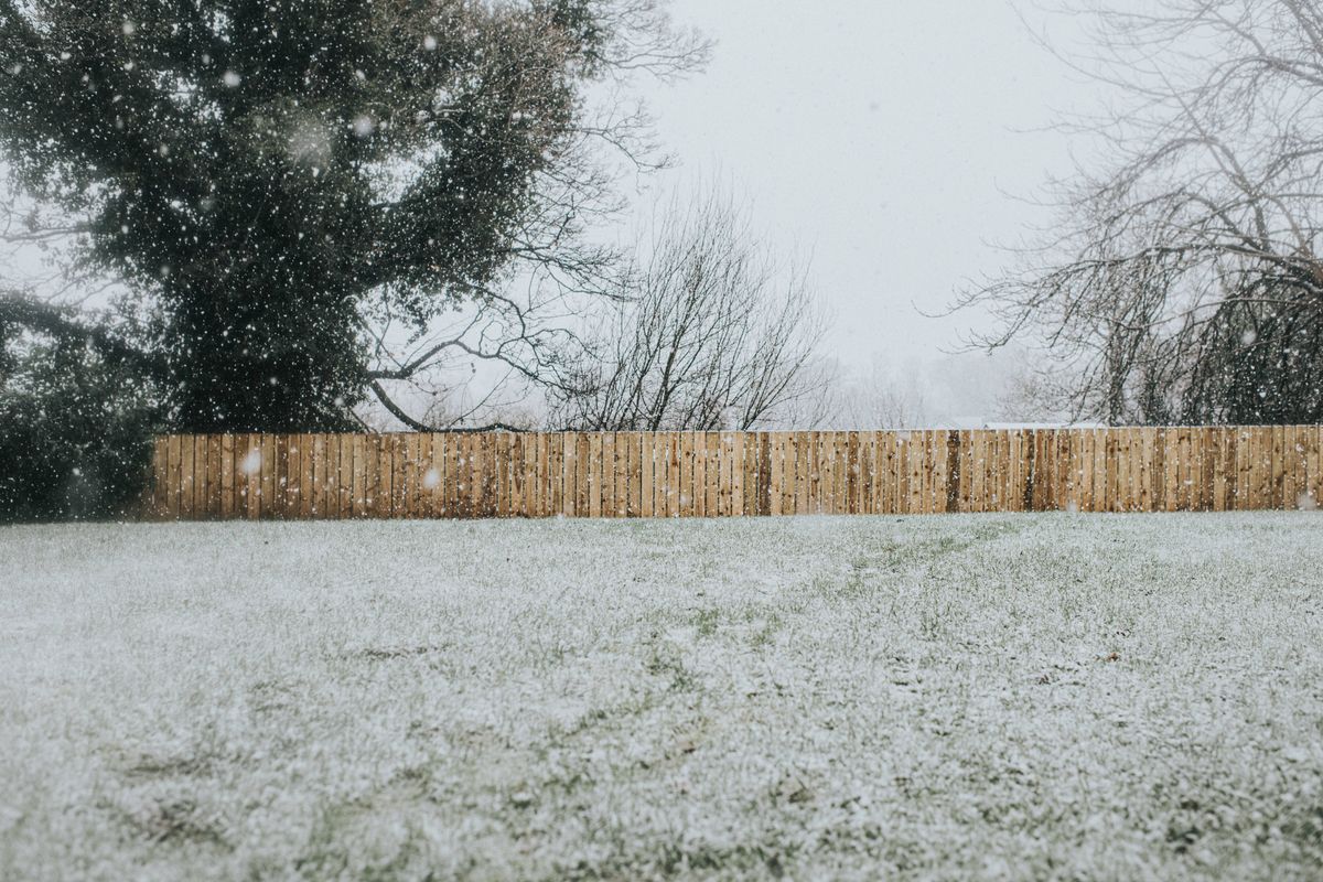 A domestic garden in the snow. Snowflakes fall from the sky and the snow sits on the grass. Large trees in the background and a long untreated wooden fence is visible in the distance. Space for copy.