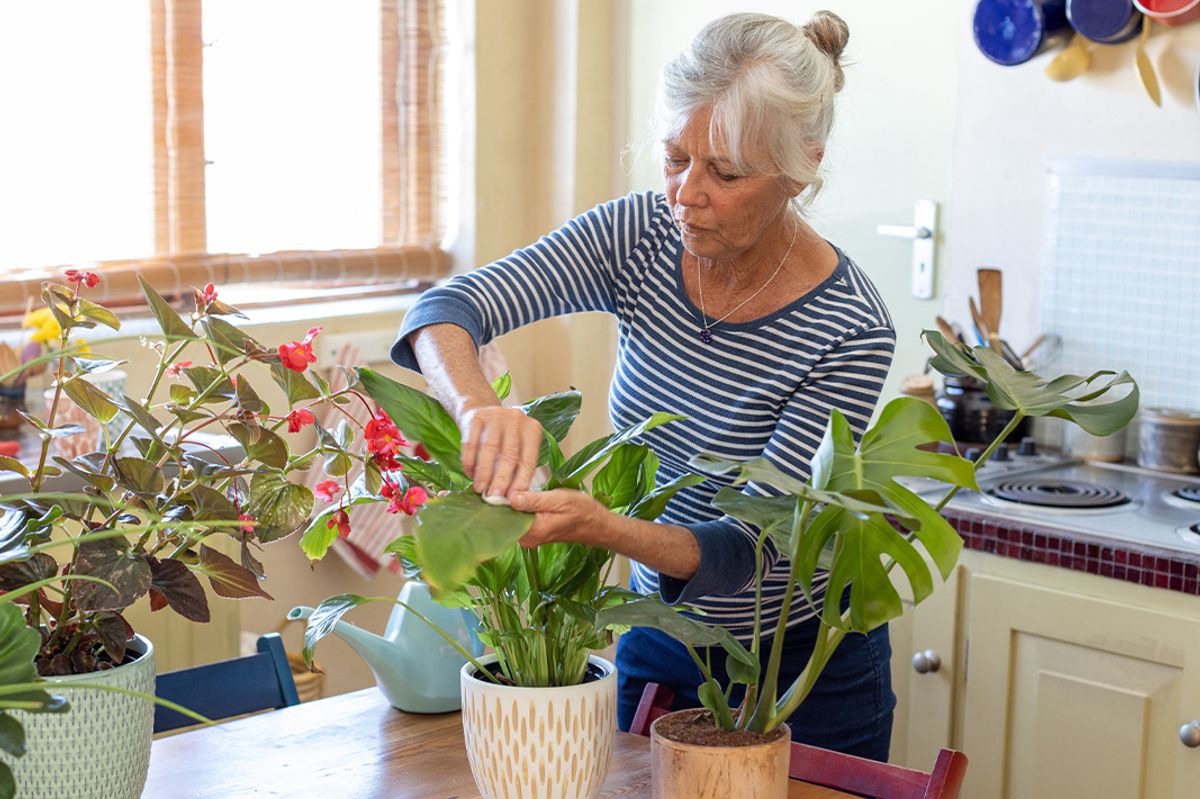 A woman repotting a plant