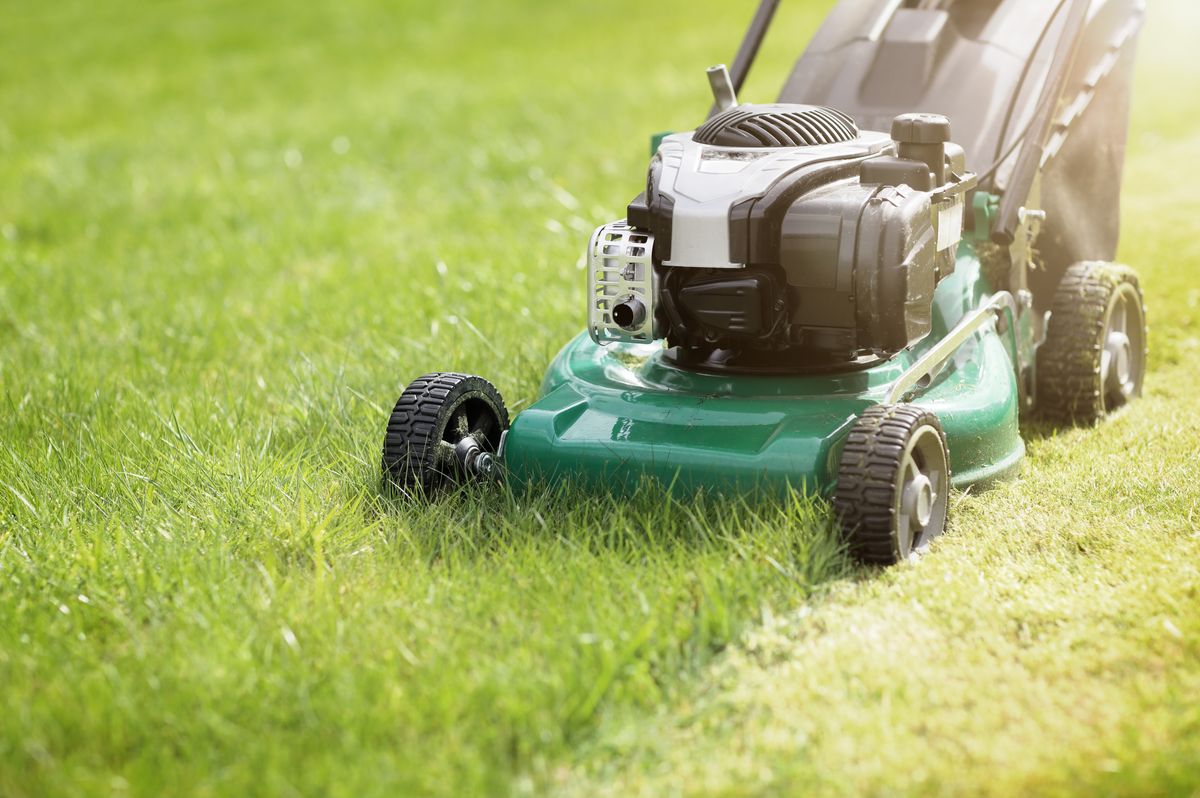 Mowing or cutting the long grass with a green lawn mower