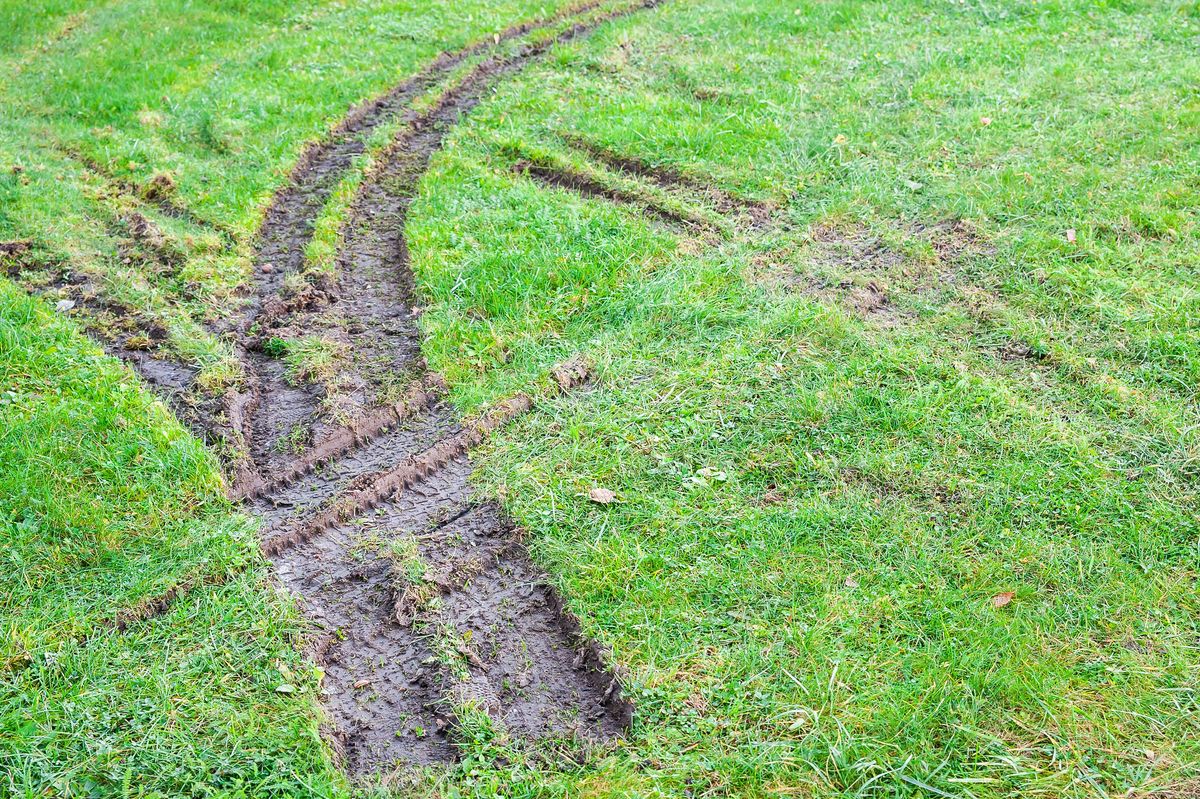Muddy tire traces on the lawn