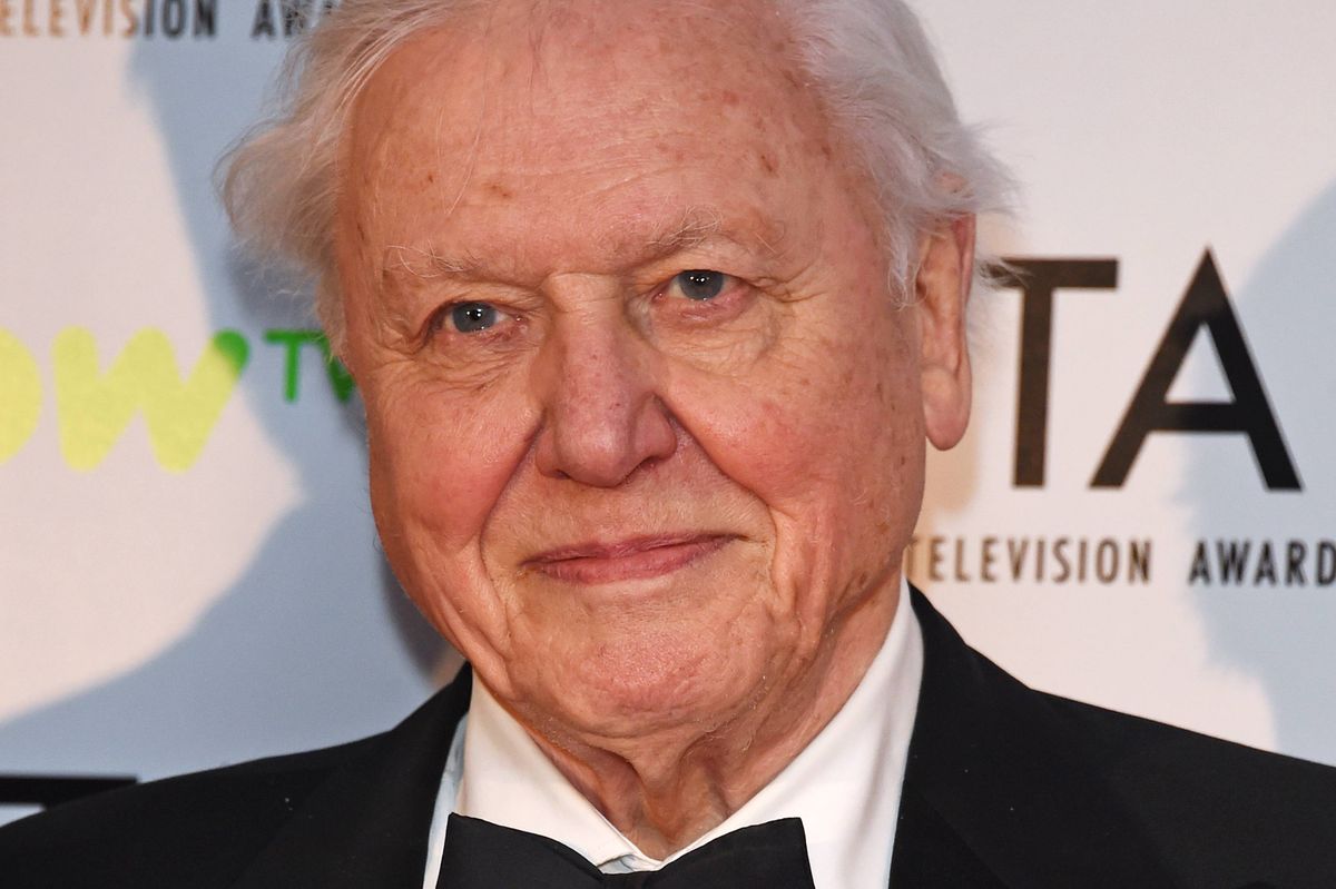 LONDON, ENGLAND - JANUARY 23: Sir David Attenborough, winner of the Impact Award for Blue Planet 2, poses in the press room at the National Television Awards 2018 at The O2 Arena on January 23, 2018 in London, England. (Photo by David M. Benett/Dave Benett/Getty Images)