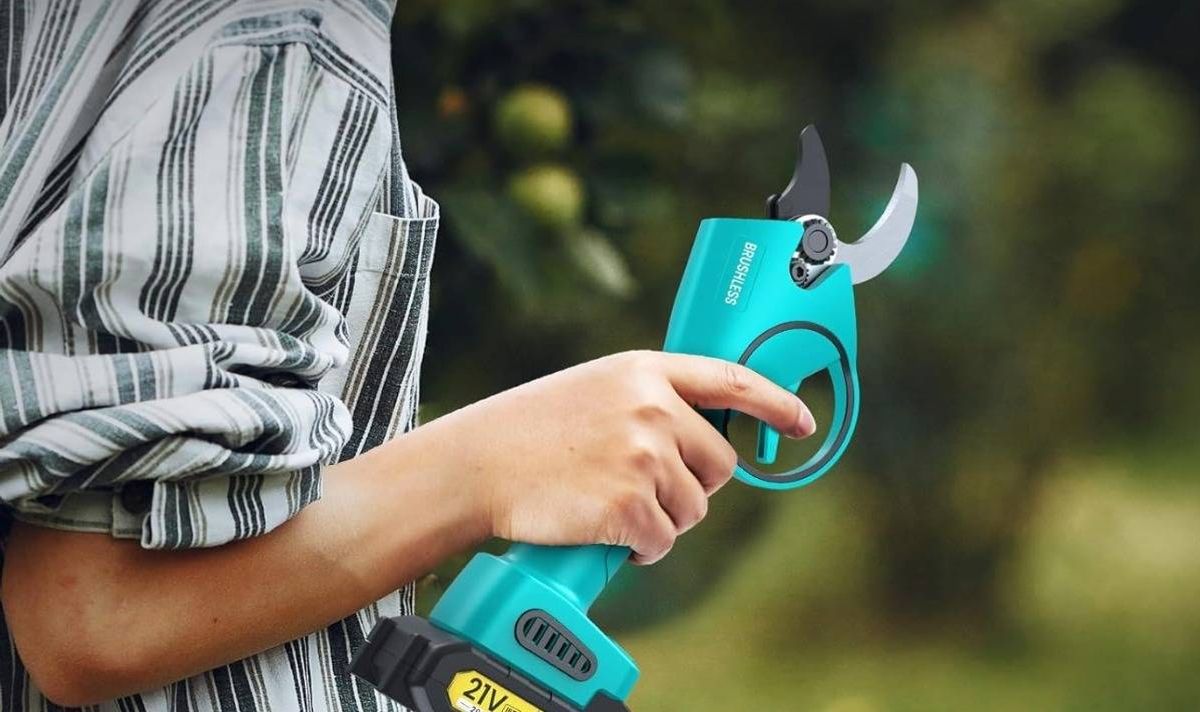 Person holding a garden tool