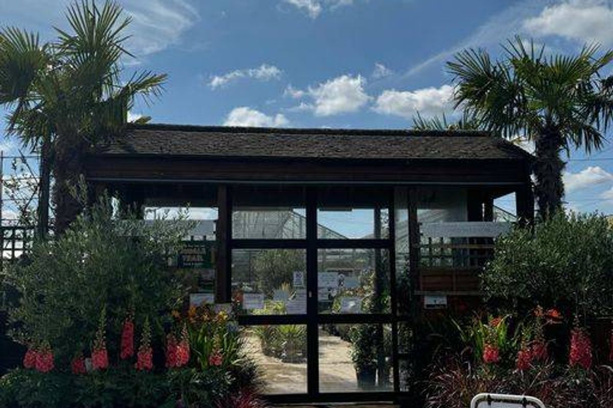 Plants Galore in Harlow