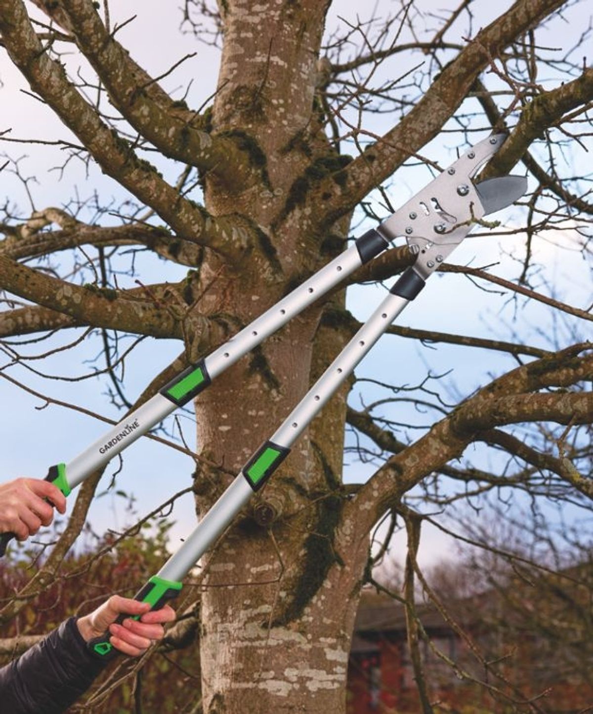 Aldi’s Heavy‑Duty Loppers