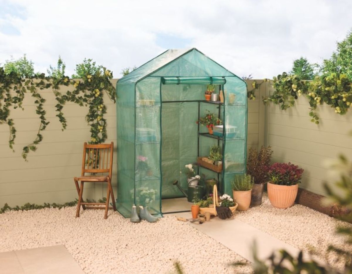 Aldi’s Walk‑In Greenhouse