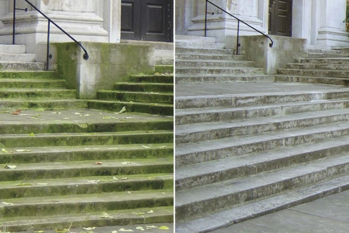 Before and after using Patio Magic