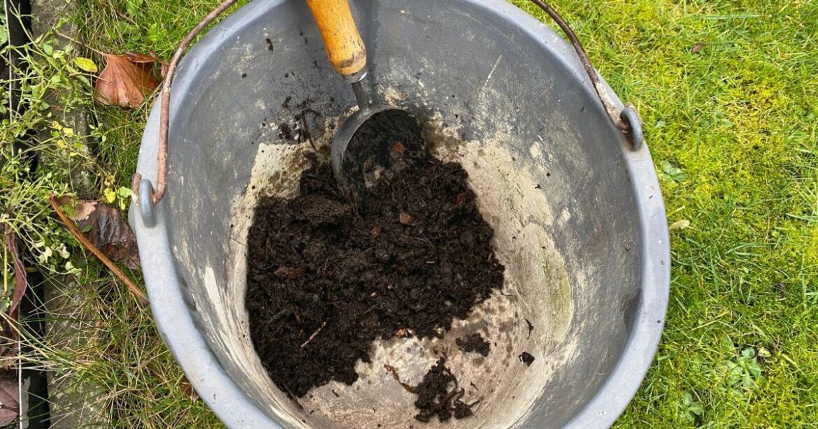 I tried Monty Don's gardening advice — it makes a difference and only took 5 minutes