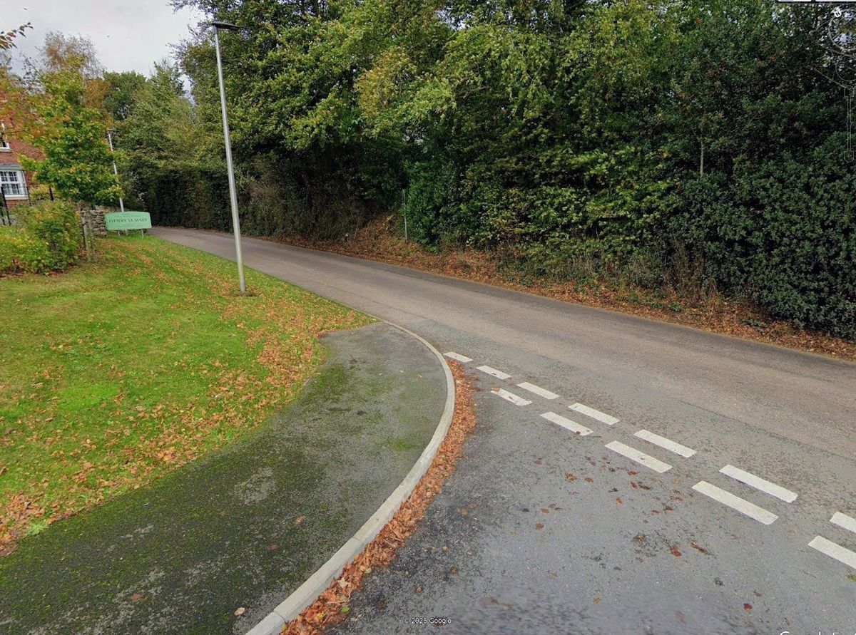 The hedgerow on Ottery St Mary's Sidmouth Road before significant cutting back works had taken place