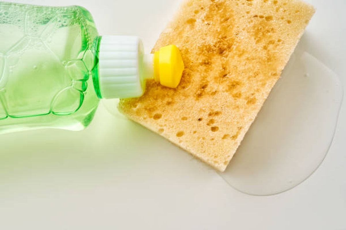 Washing-up liquid put on sponge. 