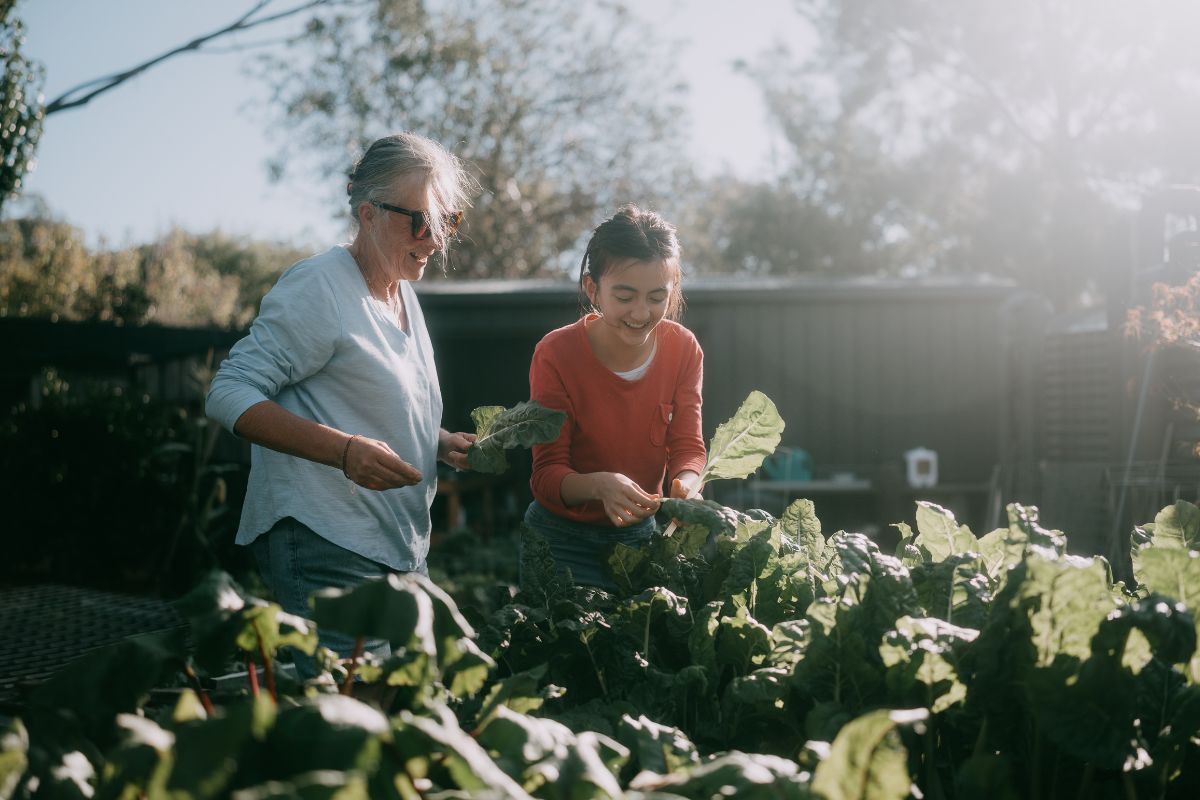 People Gardening