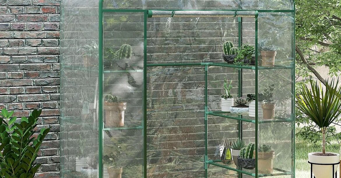 Debenhams slashes £188 greenhouse for small gardens and outdoor spaces to £35 Daily Mirror